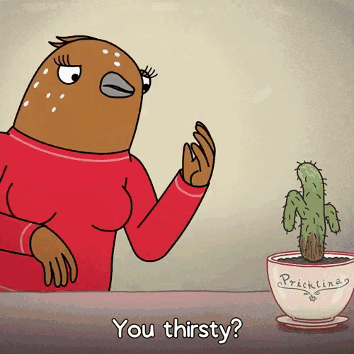 bertie (tuca and bertie)